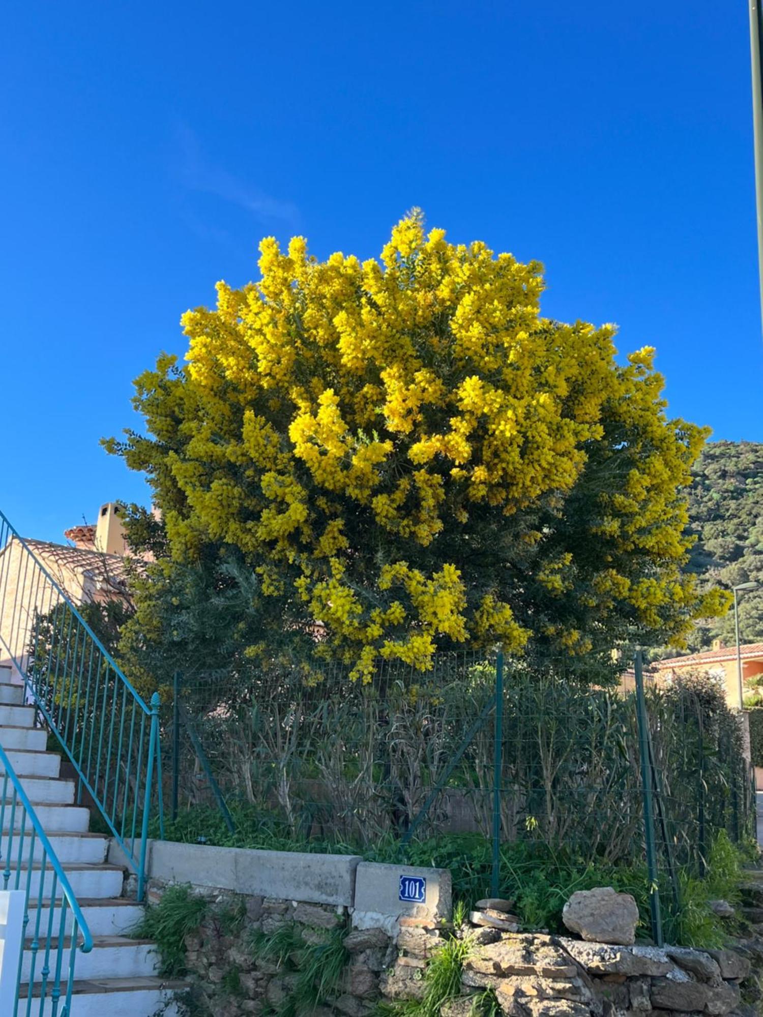 Le Lavandou St Clair Bagian luar foto