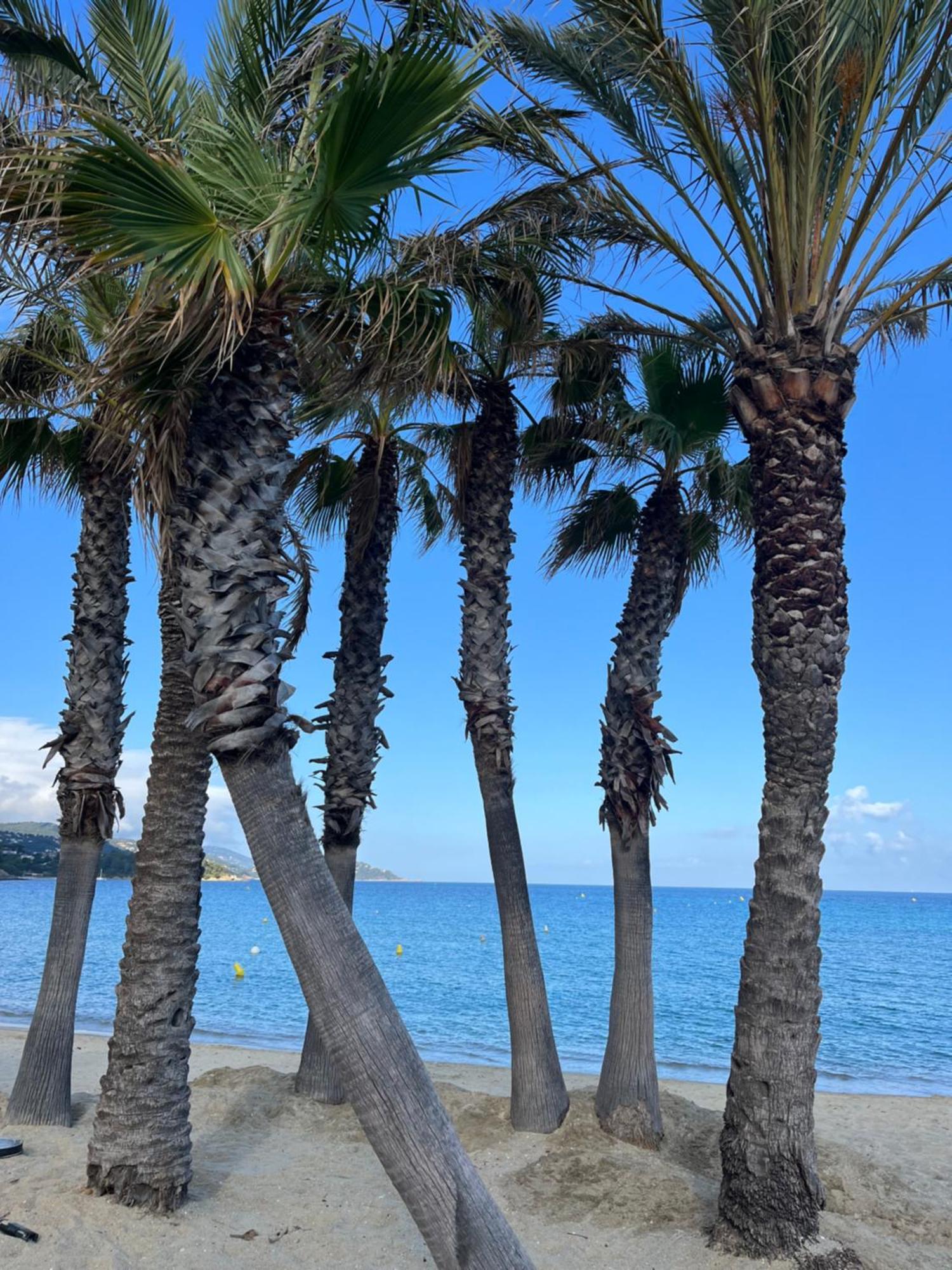 Le Lavandou St Clair Bagian luar foto